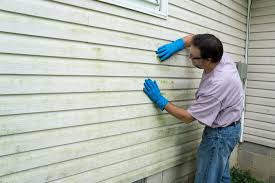 Best Vinyl Siding Installation  in San Augustine, TX